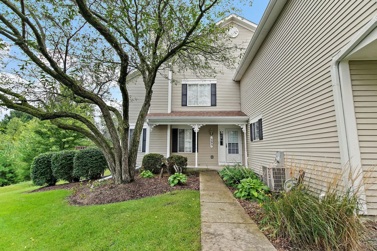 393 Lowell Drive #393, South Elgin, IL 60177 - #1