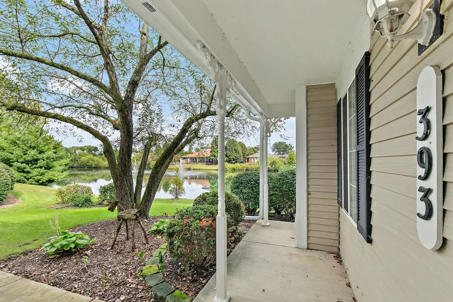 393 Lowell Drive #393, South Elgin, IL 60177 - #2