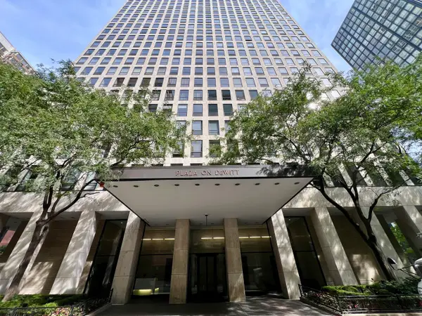260 E Chestnut Street #1511, Chicago, IL 60611