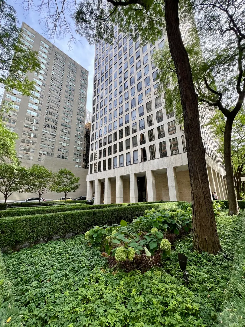 260 E Chestnut Street #1511, Chicago, IL 60611 - #2