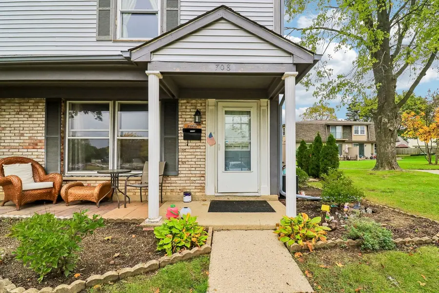 708 Shaw Court, Schaumburg, IL 60194 - #2