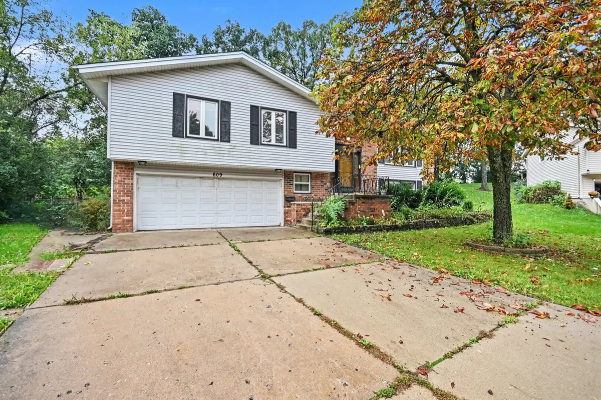 609 Tilipi Lane, Schaumburg, IL 60193 - #1
