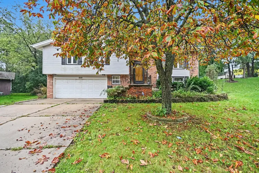 609 Tilipi Lane, Schaumburg, IL 60193 - #2