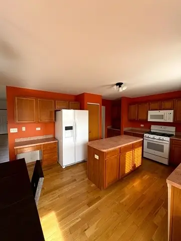1301 Burns Court, Minooka, IL 60447 - #3