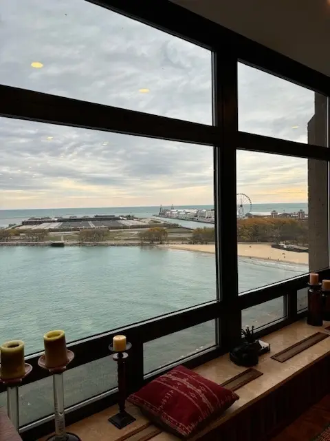 680 N Lake Shore Drive #1103, Chicago, IL 60611 - #3