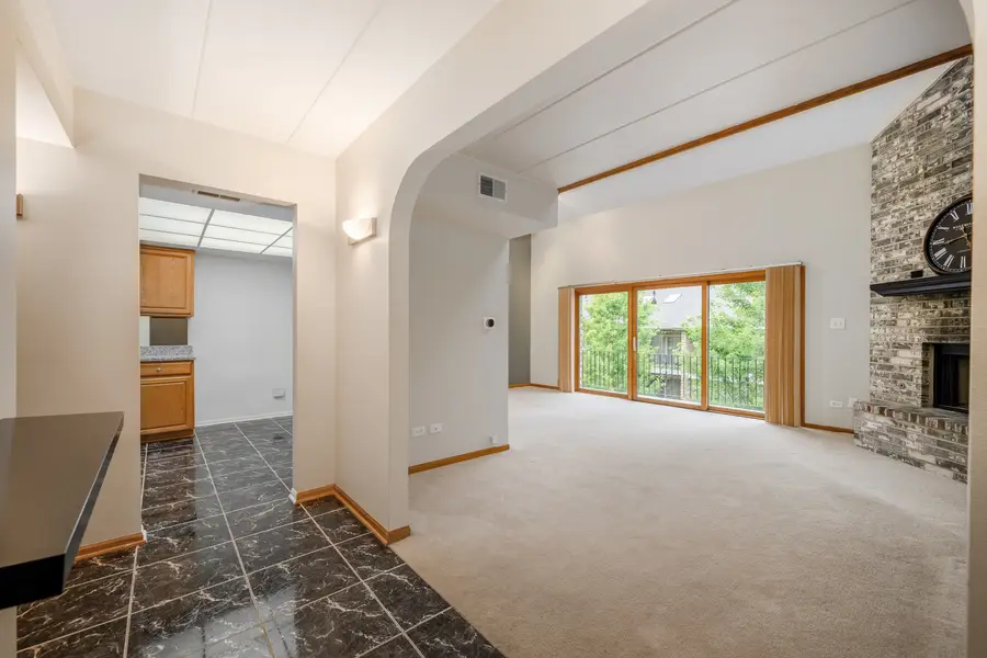 9151 Del Prado Drive #2N, Palos Hills, IL 60465 - #3