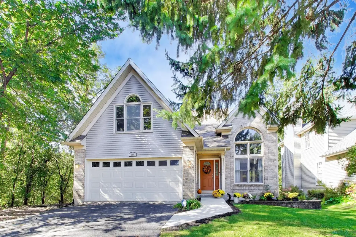 250 Knoll Street, Wheaton, IL 60187 - #1