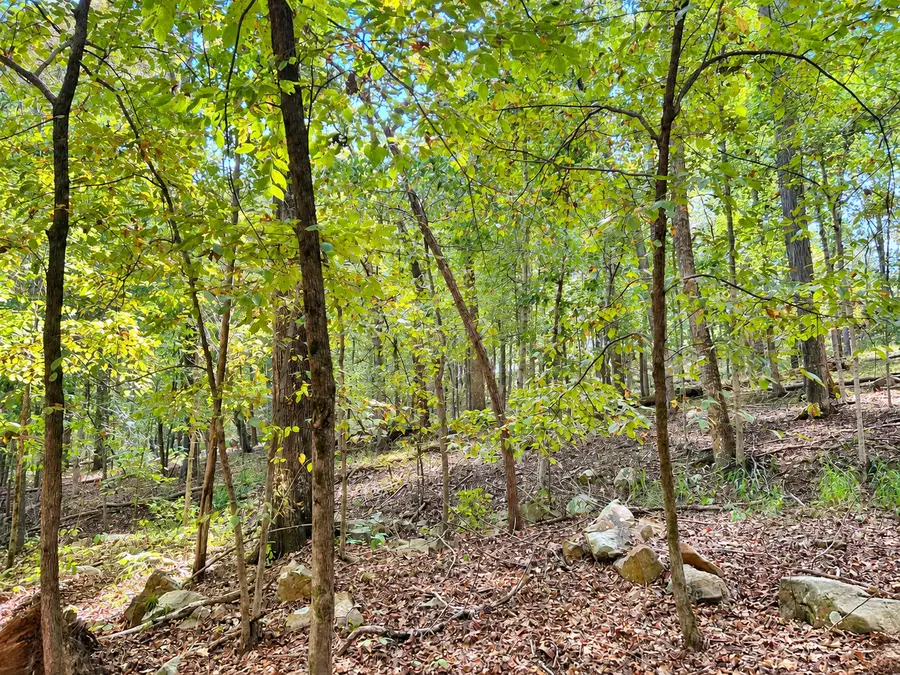 0000 Perry Road, Golconda, IL 62938 - #2