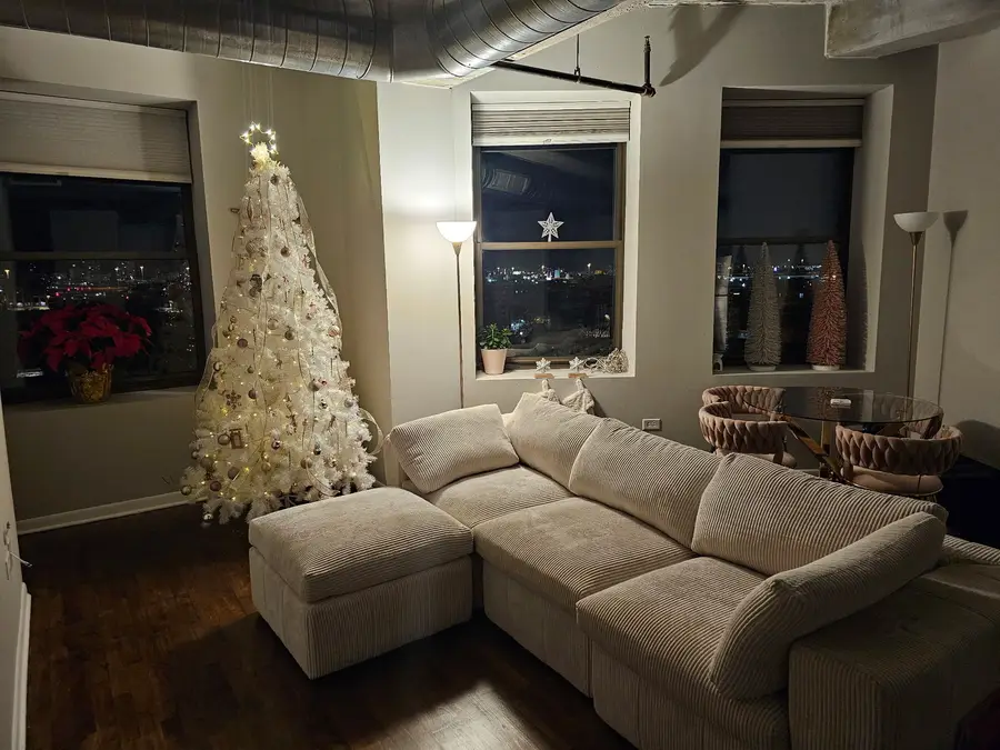 1550 S Blue Island Street #901, Chicago, IL 60608 - #3
