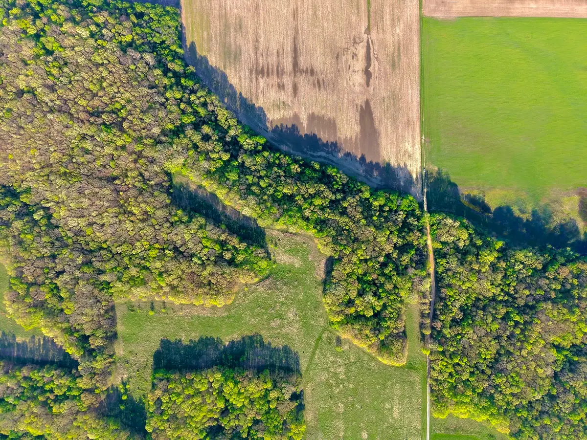 000 County Road 3175, Cowden, IL 62422 - #1