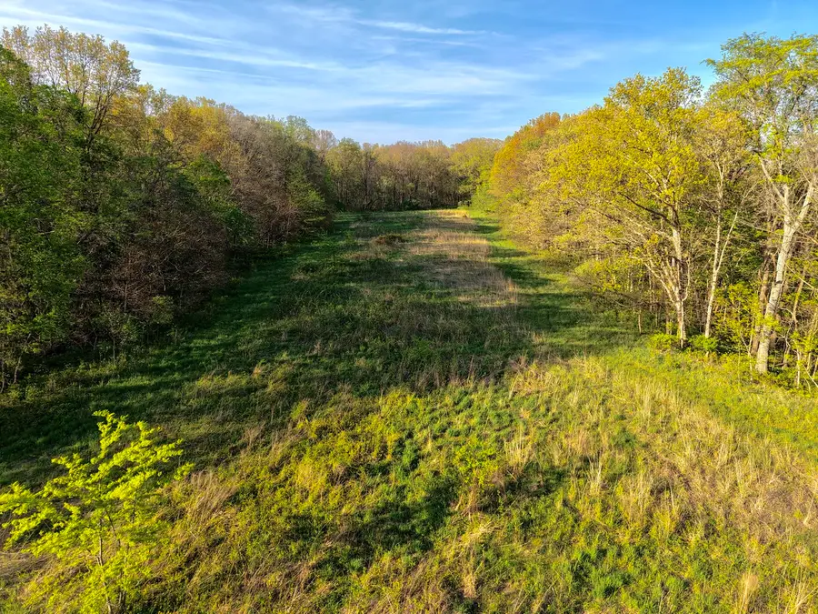 000 County Road 3175, Cowden, IL 62422 - #2