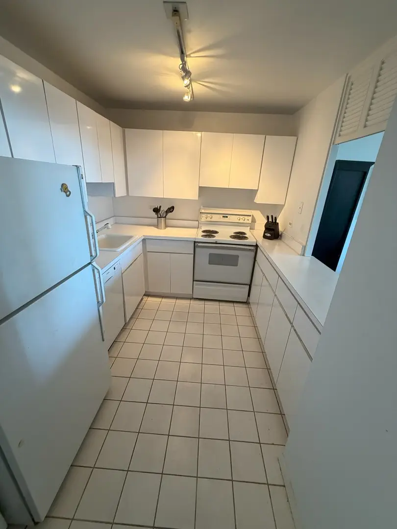 1560 N Sandburg Terrace #2808J, Chicago, IL 60610 - #3
