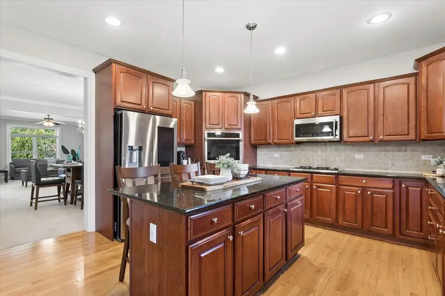 25821 Pastoral Drive, Plainfield, IL 60585 - #2
