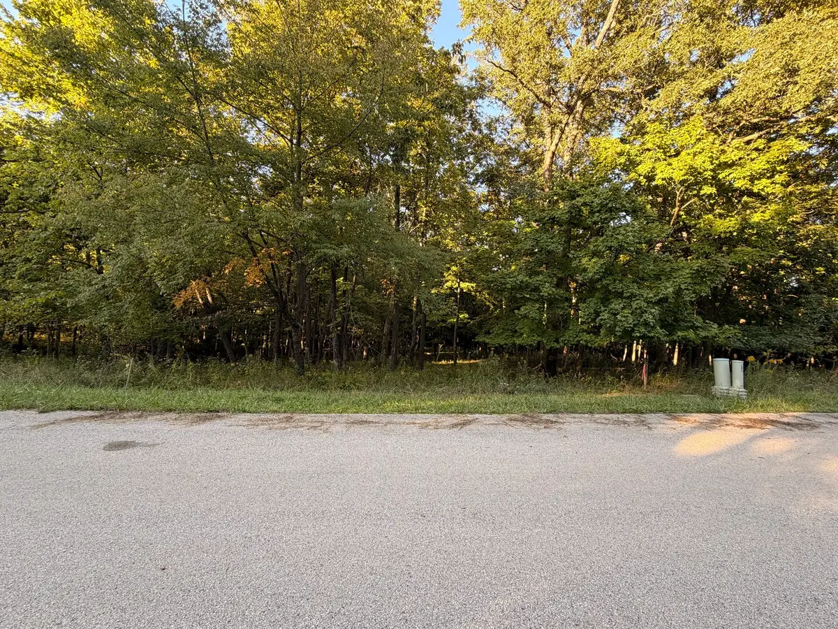 Lot 55 Eagle Chase Drive, Seneca, IL 61360 - #1