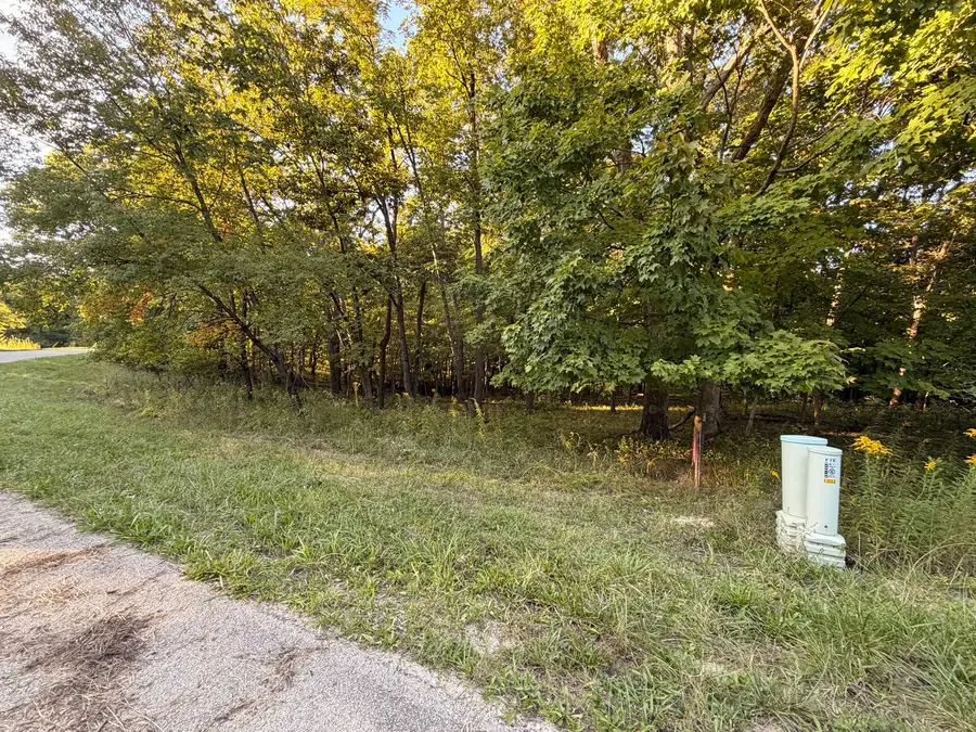 Lot 55 Eagle Chase Drive, Seneca, IL 61360 - #3
