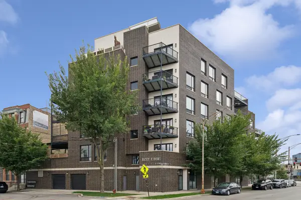 1157 W Erie Street #3W, Chicago, IL 60642