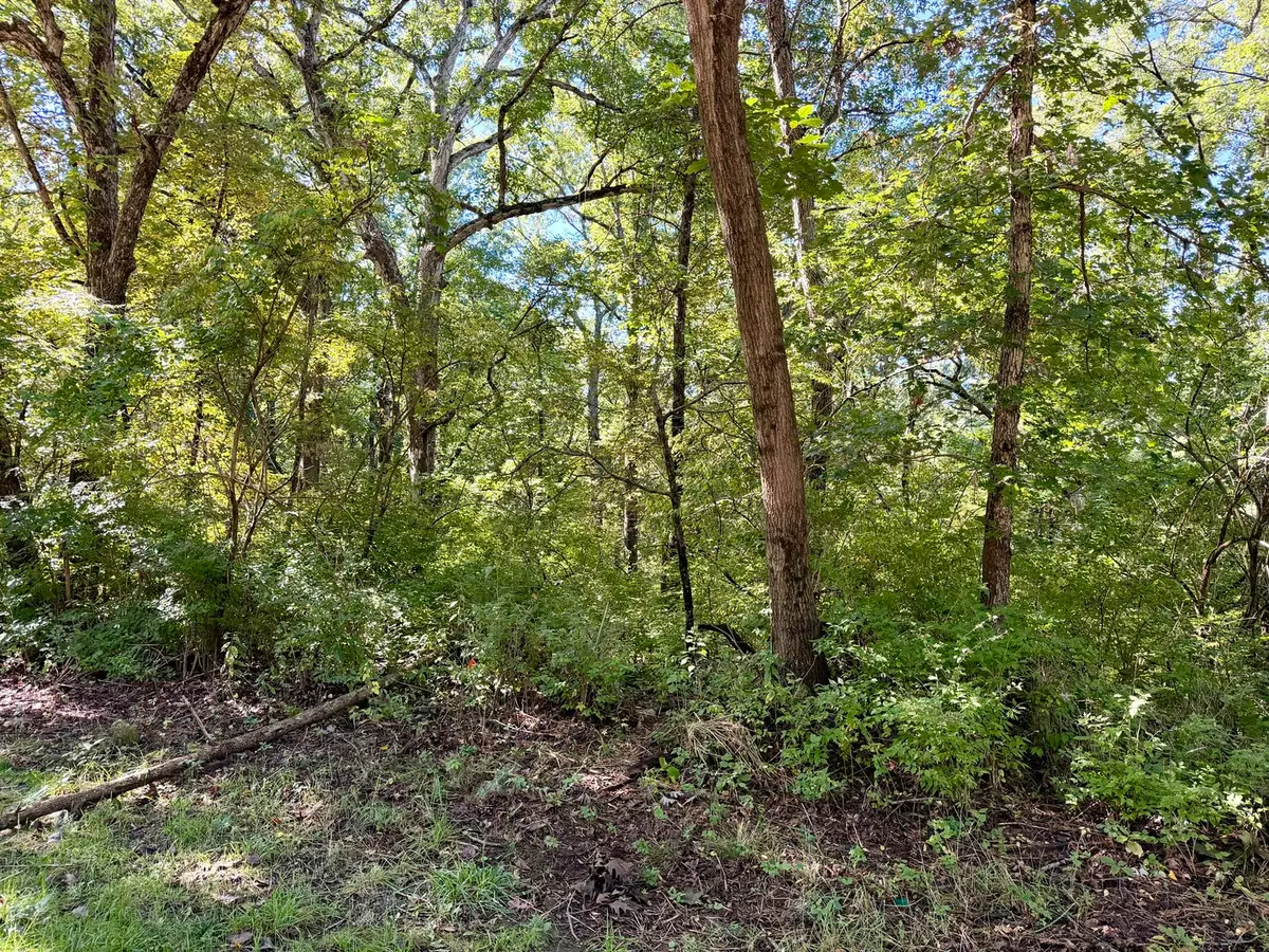 809 Missouri Drive, Dixon, IL 61021 - #1