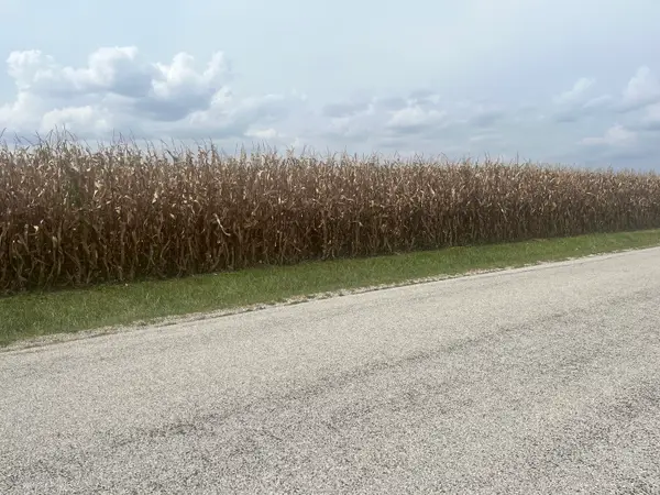 1293 County Road 2400 E, St. Joseph, IL 61873