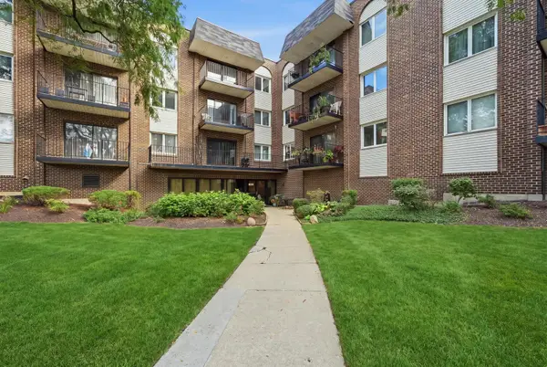 1200 W Northwest Highway #307, Mount Prospect, IL 60056