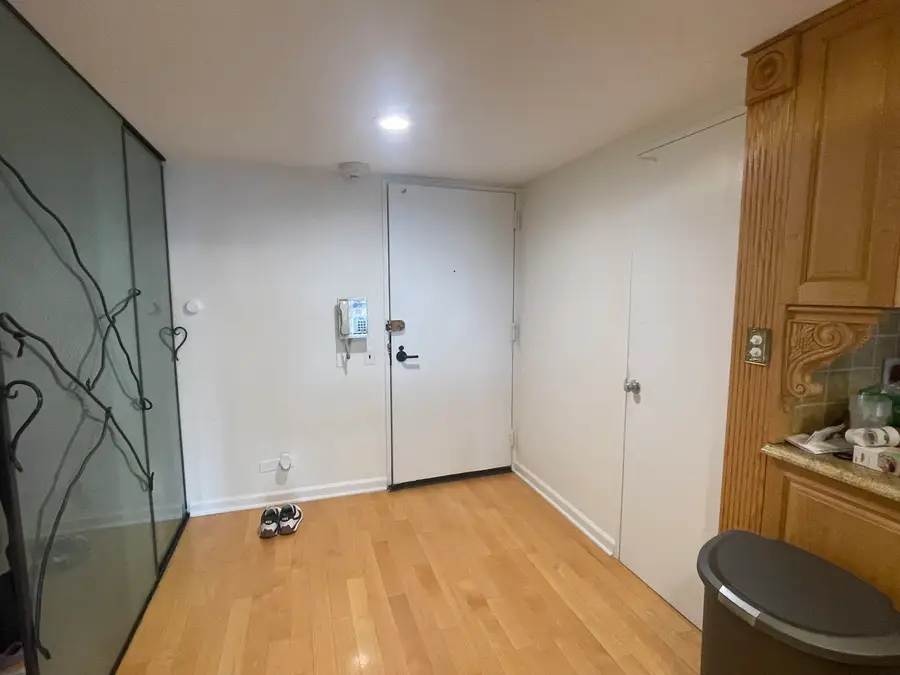 175 E Delaware Place #6015, Chicago, IL 60611 - #2