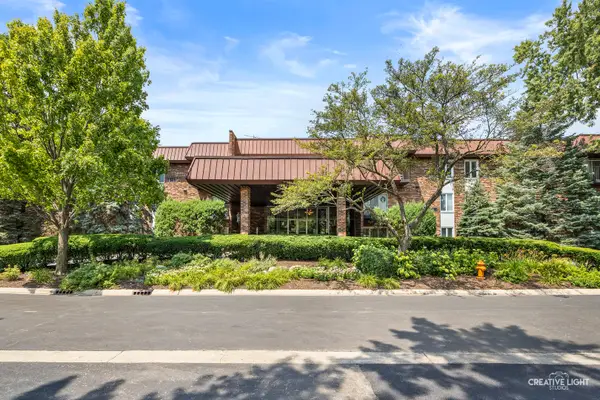 1049 W Ogden Avenue #207, Naperville, IL 60563
