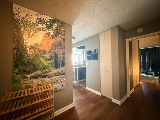 10 E Ontario Street #1111, Chicago, IL 60611 - #3