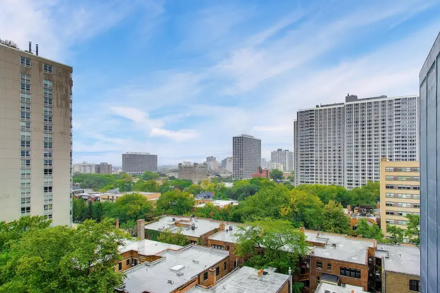 4170 N Marine Drive #12K, Chicago, IL 60613 - #2