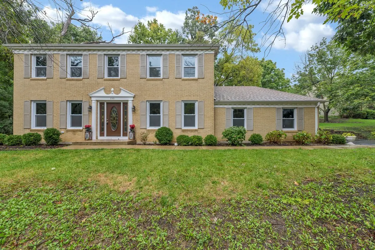 230 Saint Andrews Drive, Bolingbrook, IL 60440 - #1