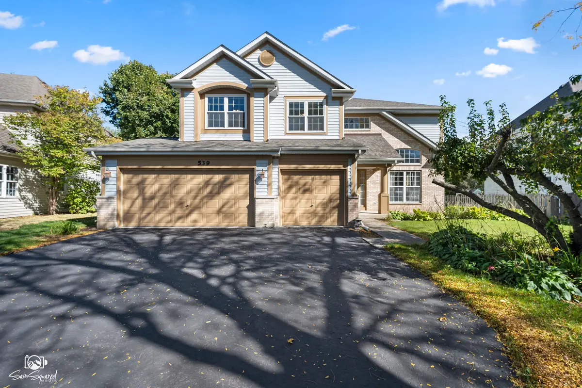539 Capital Lane, Gurnee, IL 60031 - #1