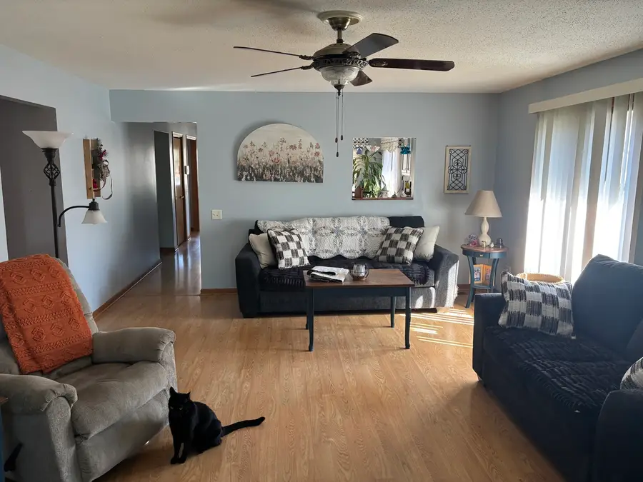 831 Deerpath Lane, Elwood, IL 60421 - #2