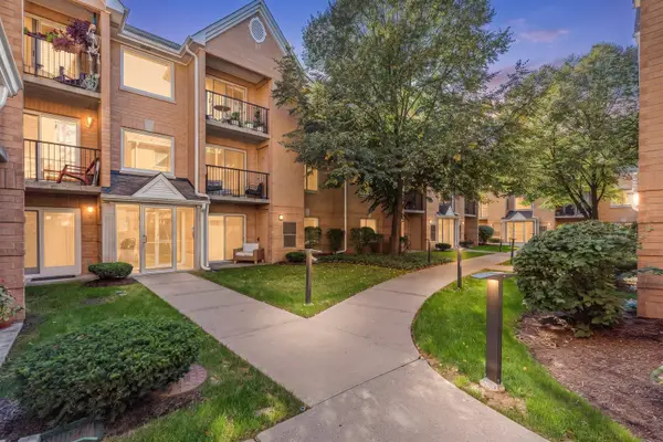 8700 W Evelyn Lane #204, Chicago, IL 60656