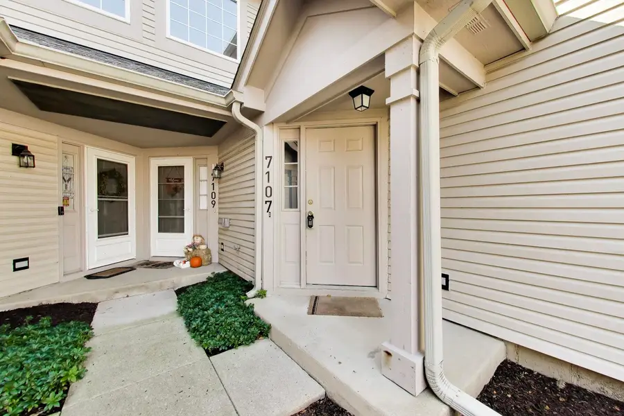 7107 S Stratton Lane #11-C-7107, Gurnee, IL 60031 - #3