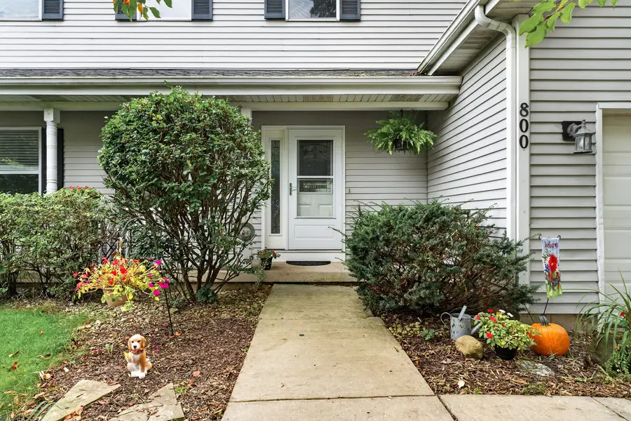 800 Birch Street, Algonquin, IL 60102 - #3