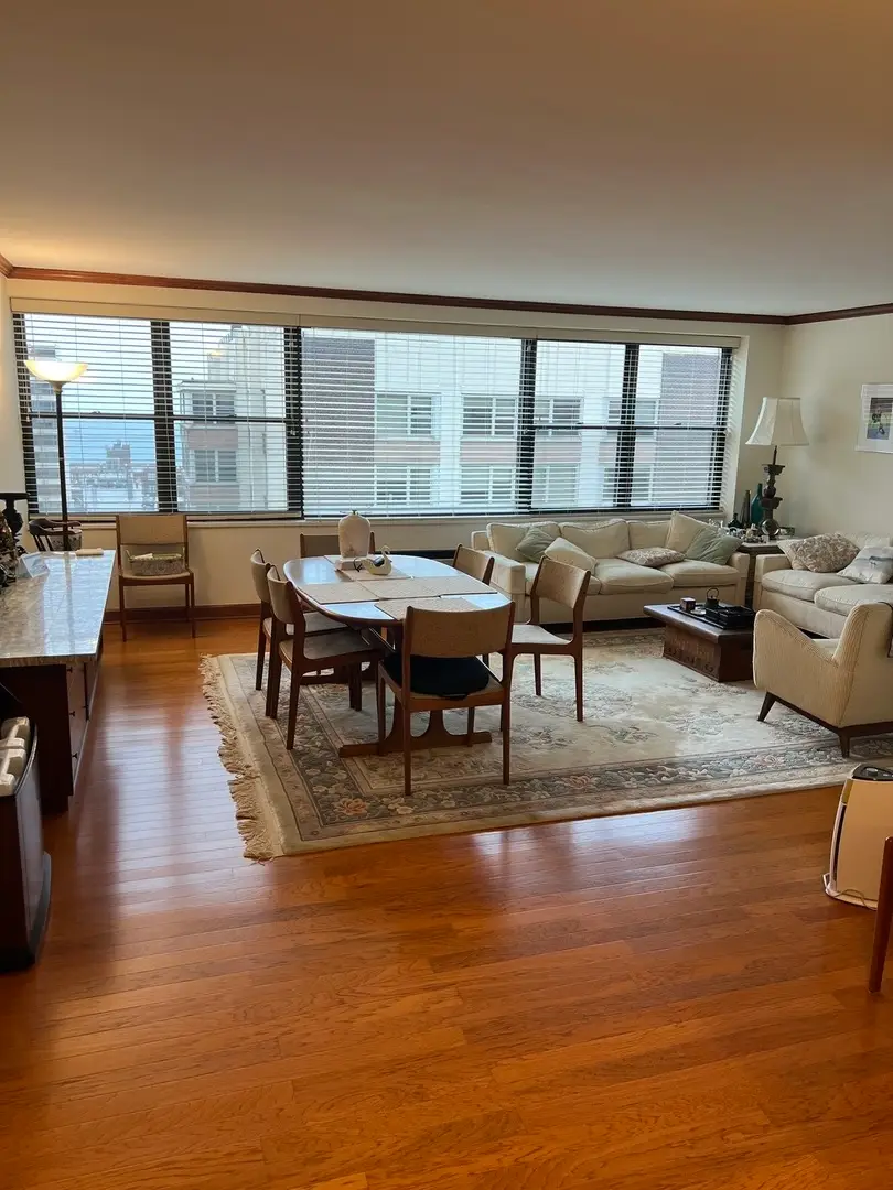 850 N Dewitt Place #21CE, Chicago, IL 60611 - #2