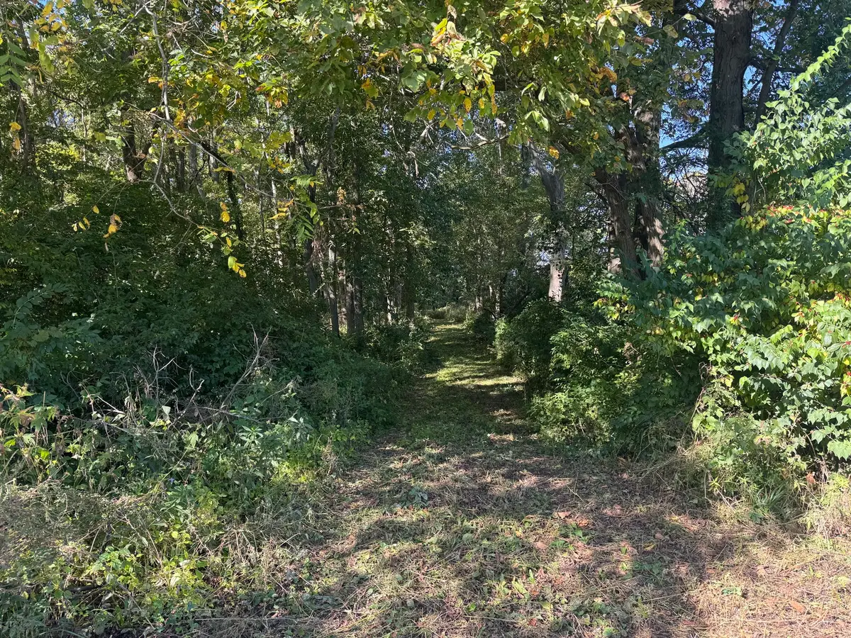 21 County Road 500 E, Sadorus, IL 61872 - #1