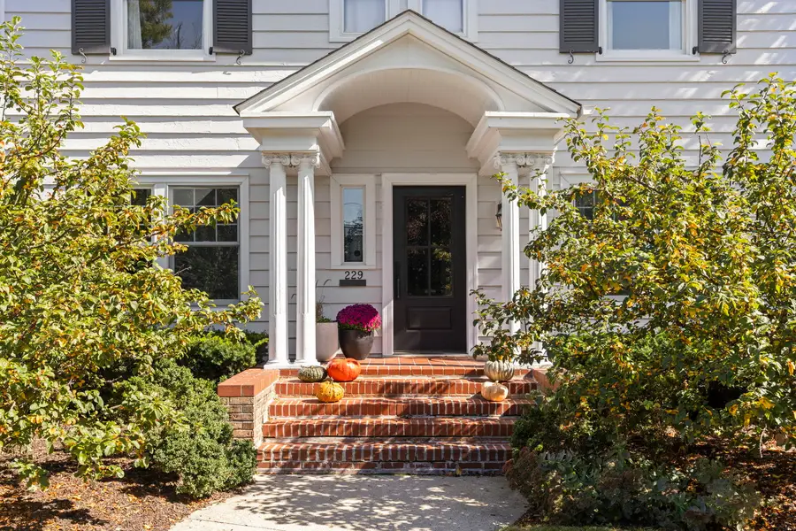 229 N Main Street, Glen Ellyn, IL 60137 - #2