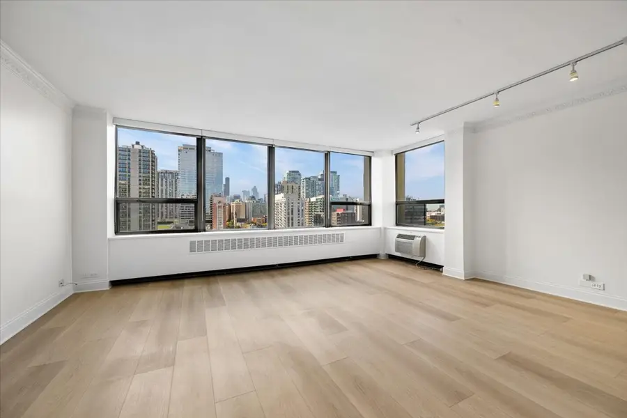 1360 N Sandburg Terrace #1405C, Chicago, IL 60610 - #2