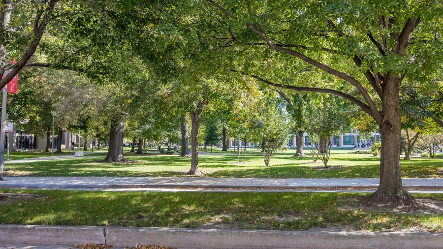 900 S Morgan Street, Chicago, IL 60607 - #2