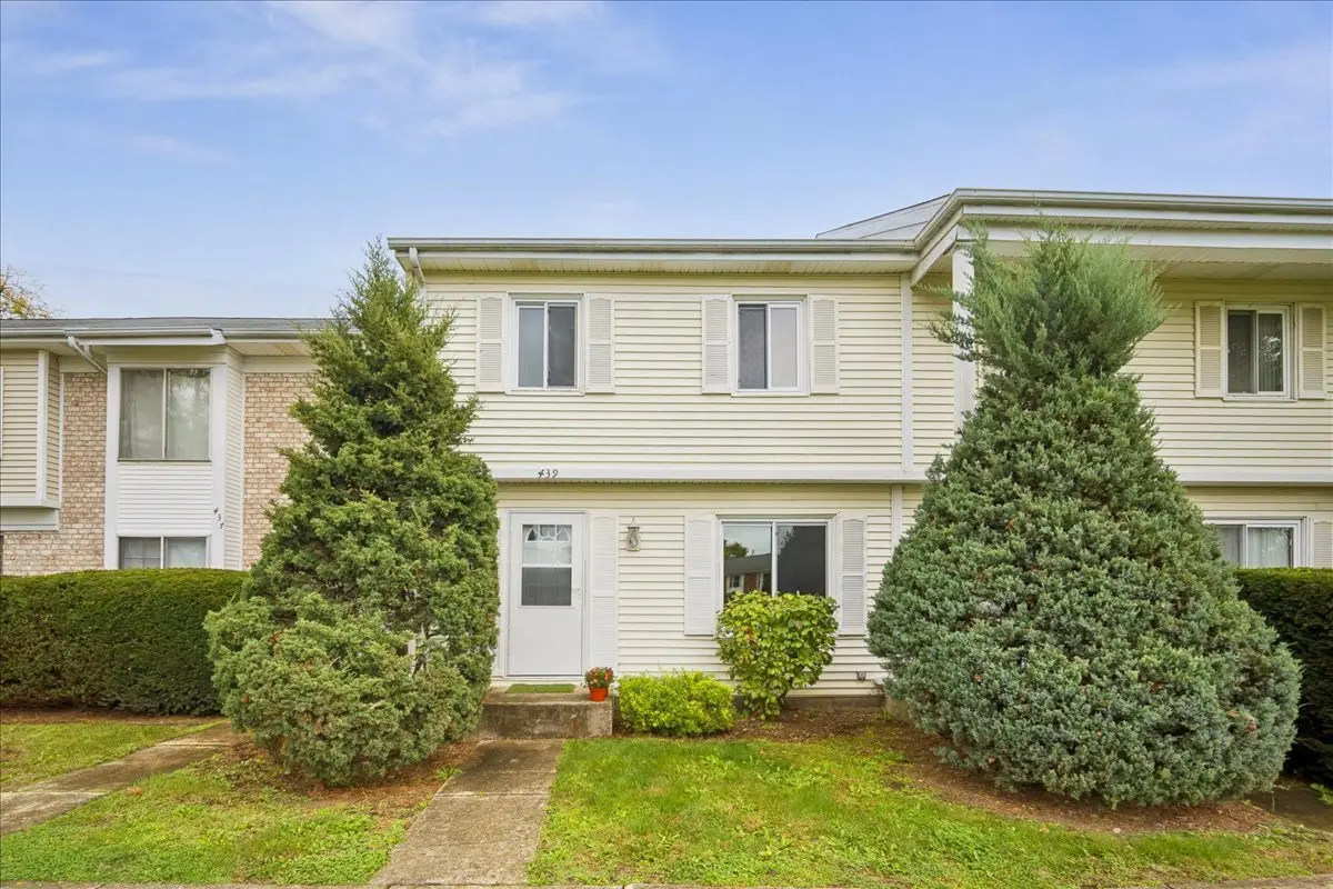 439 Mallview Lane, Bolingbrook, IL 60440 - #1