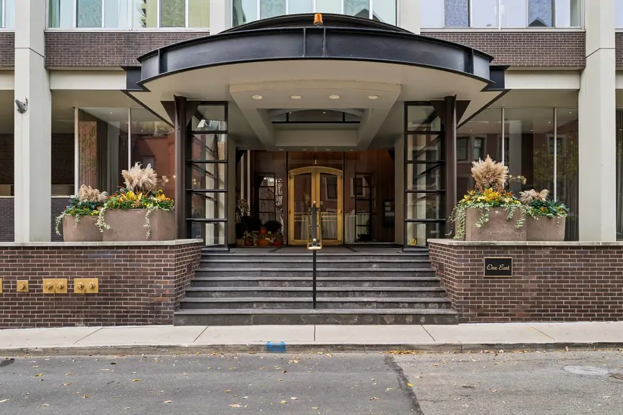 1 E Schiller Street #20D, Chicago, IL 60610 - #2