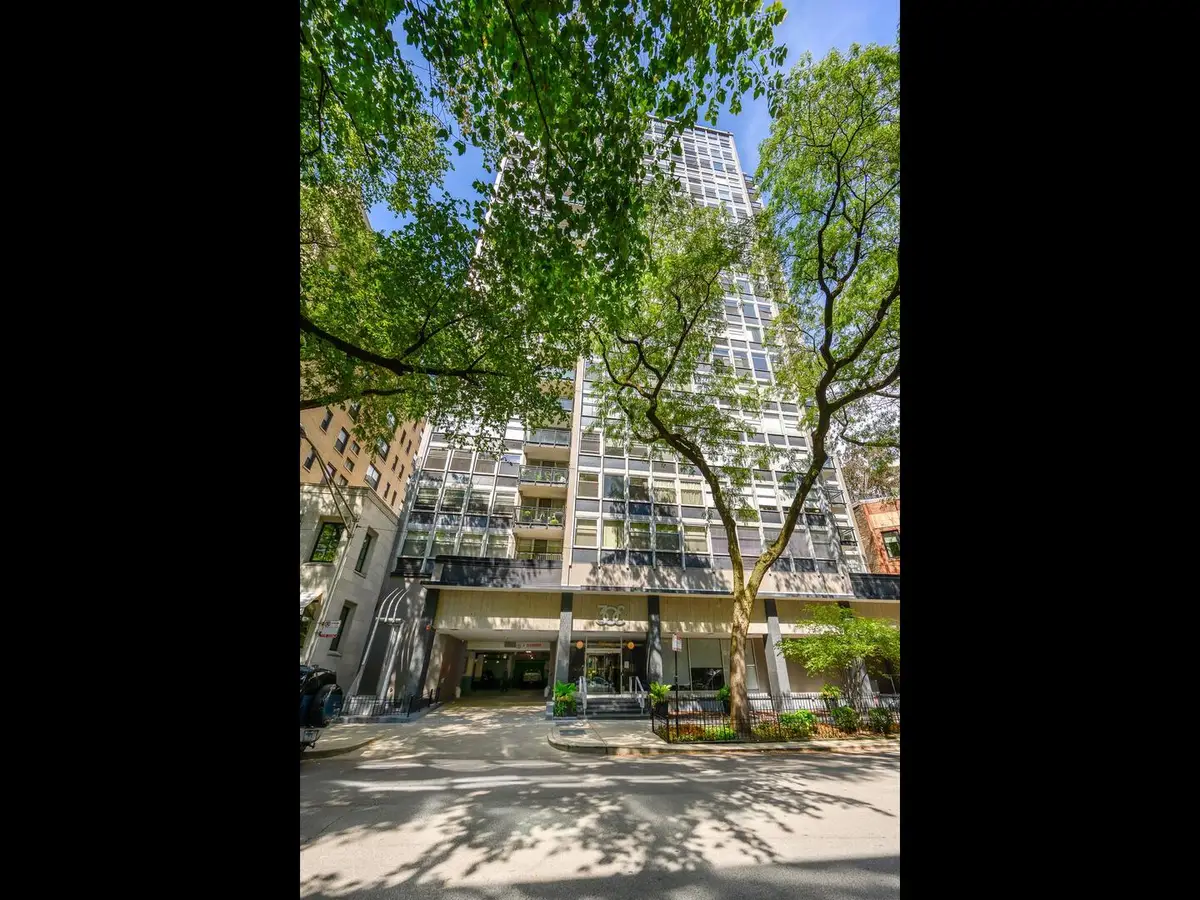 30 E Elm Street #18B, Chicago, IL 60611 - #1