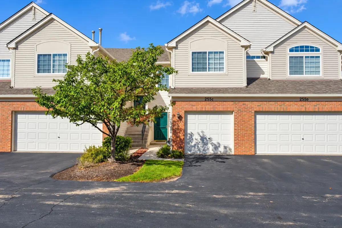 255 Thornwood Way #C, South Elgin, IL 60177 - #1