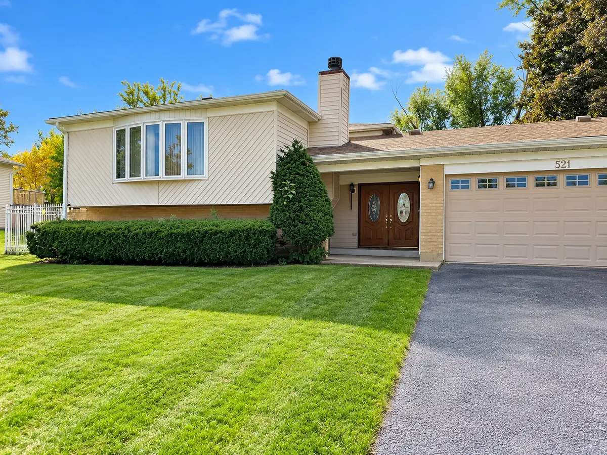 521 King Arthur Way, Bolingbrook, IL 60440 - #1
