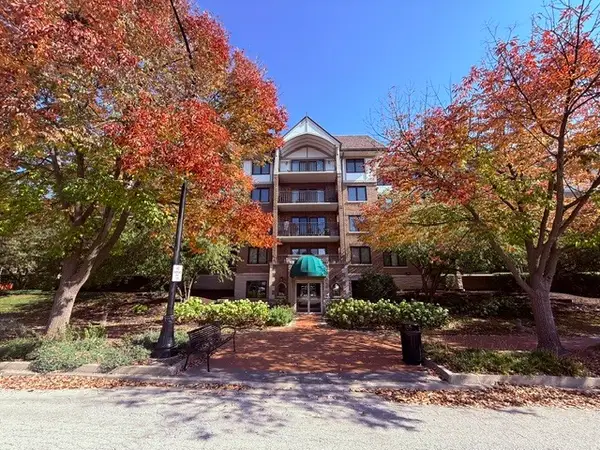 5 S Pine Street #407B, Mount Prospect, IL 60056