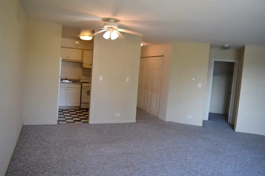 1475 Rebecca Drive #210, Hoffman Estates, IL 60169 - #3