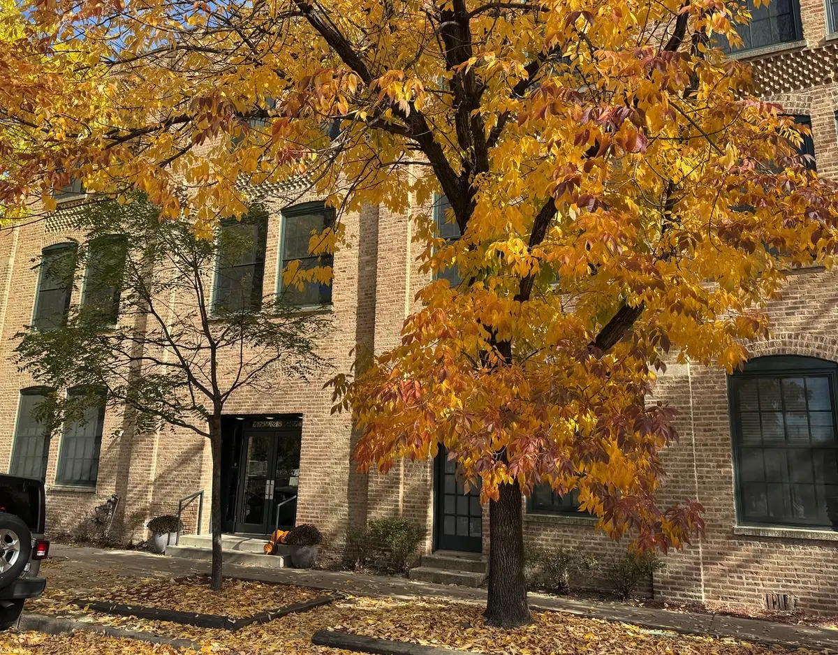 5235 N Ravenswood Avenue #11, Chicago, IL 60640 - #1