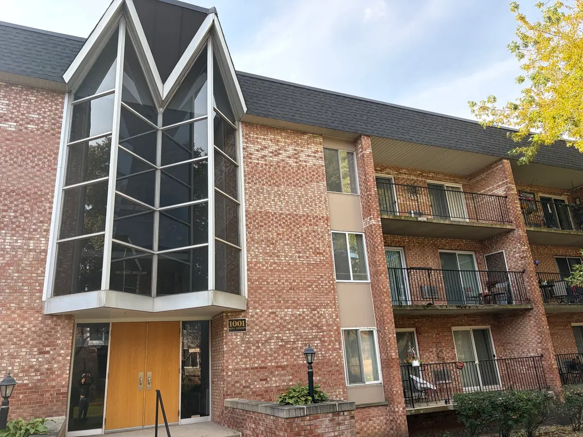 1001 N Mill Street #307, Naperville, IL 60563 - #1