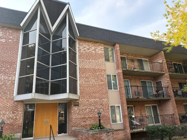 1001 N Mill Street #307, Naperville, IL 60563