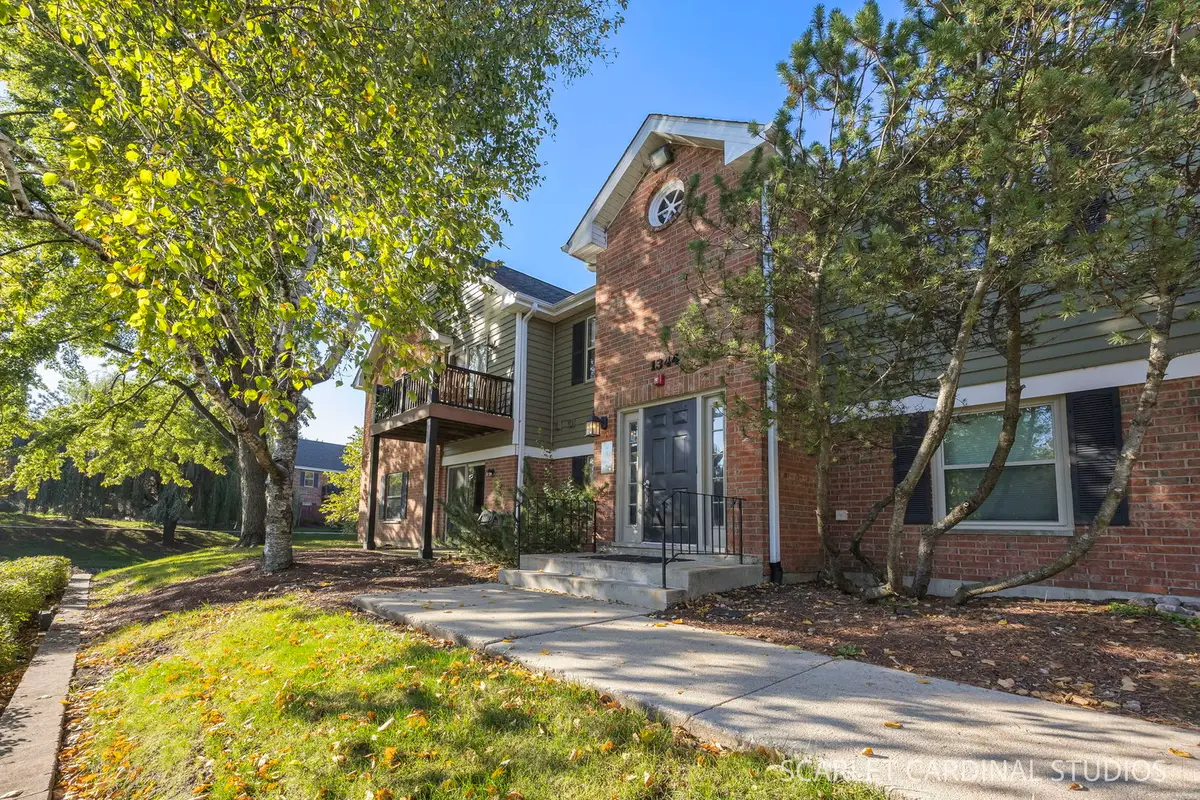 1344 Mc Dowell Road #203, Naperville, IL 60563 - #1
