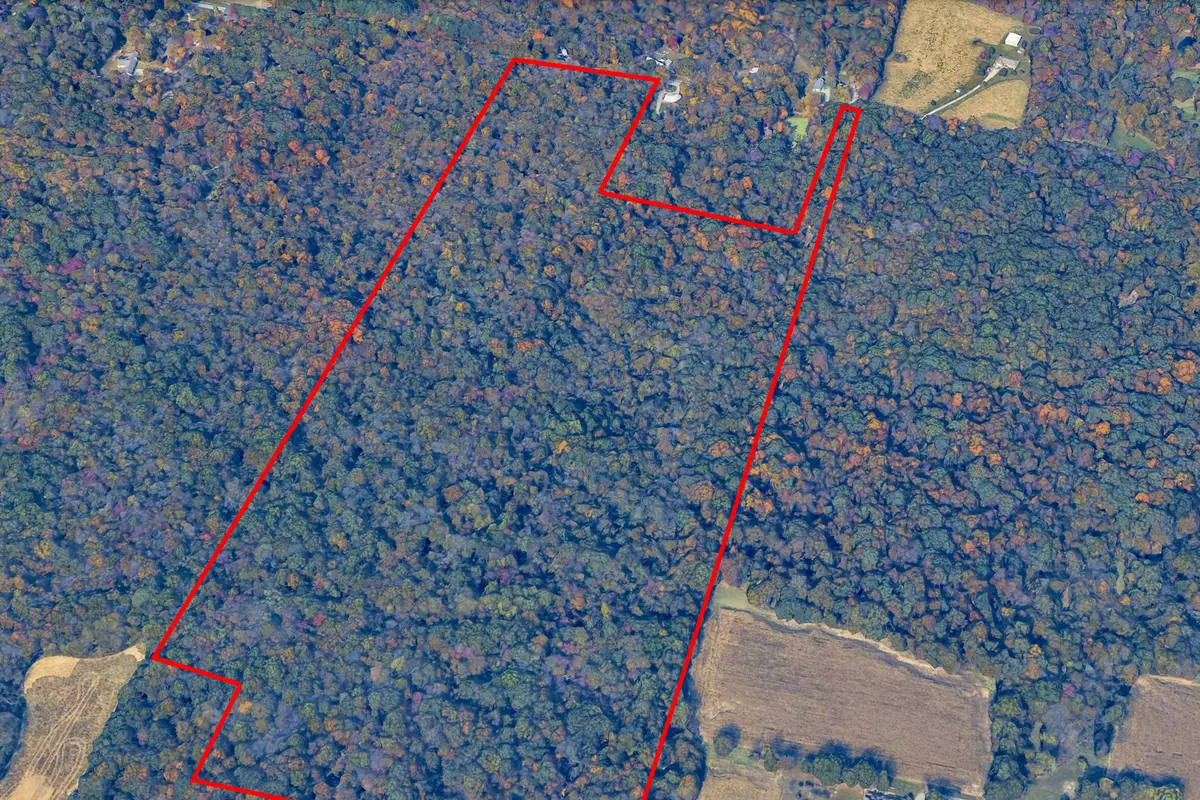 000 Fowler Road, Marion, IL 62959 - #1